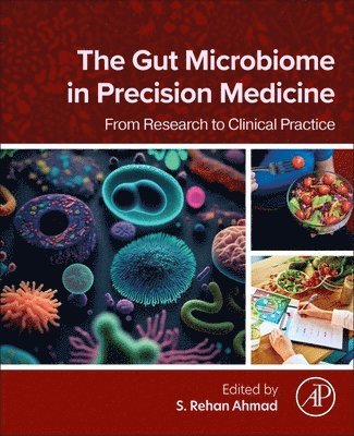S. Rehan Ahmad - The Gut Microbiome in Precision Medicine, Häftad