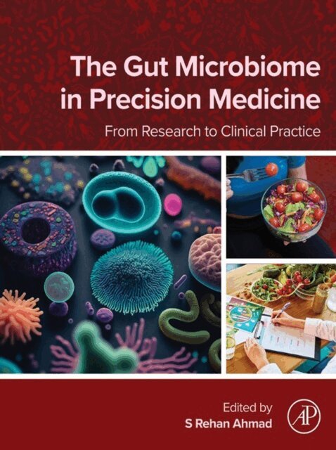 S. Rehan Ahmad - Gut Microbiome in Precision Medicine, E-bok