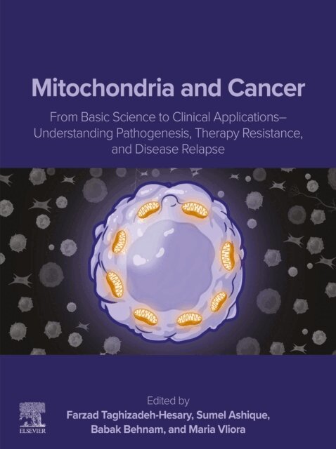 Maria Vliora, Babak Behnam, Sumel Ashique, Farzad Taghizadeh-Hesary - Mitochondria and Cancer, E-bok