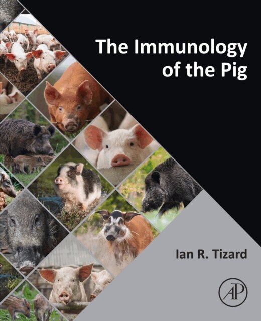 Ian R. Tizard - Immunology of the Pig, E-bok