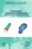 Jinkai Wang, Bruno Fernande, Baojun Bai, Mojdeh Delshad - Hydrogen Subsurface Storage, Häftad