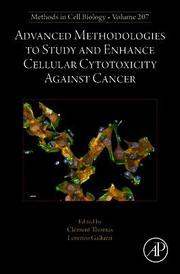 Advanced Methodologies to Study and Enhance Cellular Cytotoxicity Against Cancer