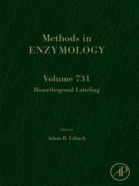 Bioorthogonal Labeling, E-bok