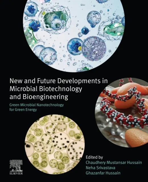 Ghazanfar Hussain, Neha Srivastava, Chaudhery Mustansar Hussain - Green Microbial Nanotechnology for Green Energy, E-bok. Tillgänglighet: Lägg i varukorg
