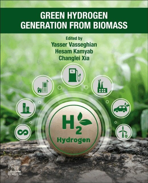 Changlei Xia, Hesam Kamyab, Yasser Vasseghian - Green Hydrogen Generation from Biomass, E-bok