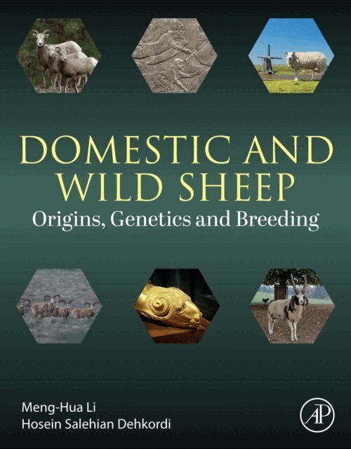 Hosein Salehian Dehkordi, Menghua Li - Domestic and Wild Sheep, E-bok. Tillgänglighet: Lägg i varukorg