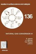 Natural Gas Conversion VI
