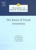 The Roots of Visual Awareness