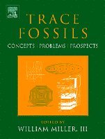 Trace Fossils