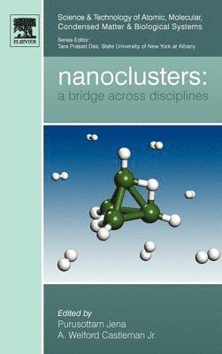 Purusottam Jena, A. Welford Castleman - Nanoclusters, Inbunden