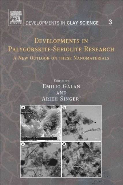 Developments in Palygorskite-Sepiolite Research, E-bok