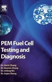 PEM Fuel Cell Testing and Diagnosis