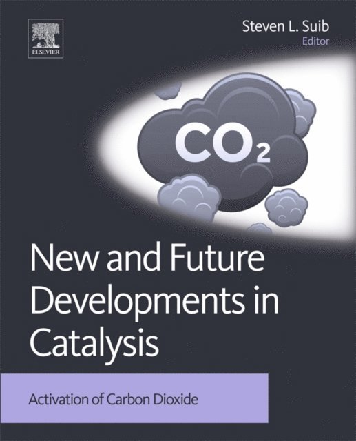 Steven L Suib - New and Future Developments in Catalysis, E-bok. Tillgänglighet: Lägg i varukorg