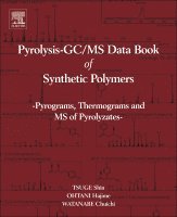 Shin Tsuge, Hajima Ohtani, Chuichi Watanabe - Pyrolysis - GC/MS Data Book of Synthetic Polymers, Inbunden