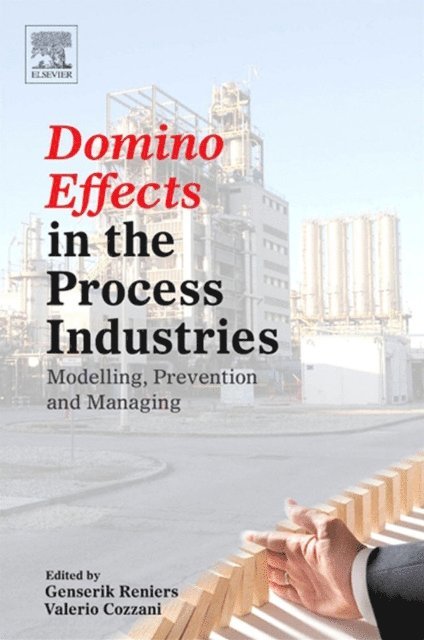 Valerio Cozzani, Genserik Reniers - Domino Effects in the Process Industries, E-bok