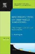 New Perspectives on Deep-water Sandstones