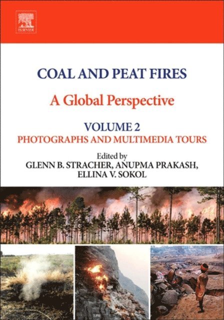 Ellina V. Sokol, Anupma Prakash, Glenn B. Stracher - Coal and Peat Fires: A Global Perspective, E-bok