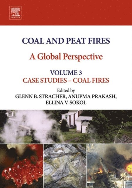 Ellina V. Sokol, Anupma Prakash, Glenn B. Stracher - Coal and Peat Fires: A Global Perspective, E-bok