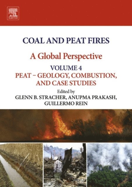 Guillermo Rein, Anupma Prakash, Glenn B. Stracher - Coal and Peat Fires: A Global Perspective, E-bok