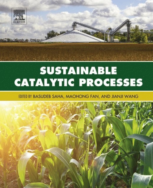 Jianji Wang, Maohong Fan, Basudeb Saha - Sustainable Catalytic Processes, E-bok
