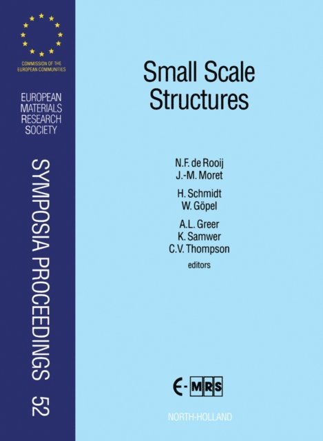 Alan Lindsay Greer, W. Gopel, C.V. Thompson, K. Samwer, H. Schmidt, J.-M. Moret, N.F. de Rooij - Small Scale Structures, E-bok