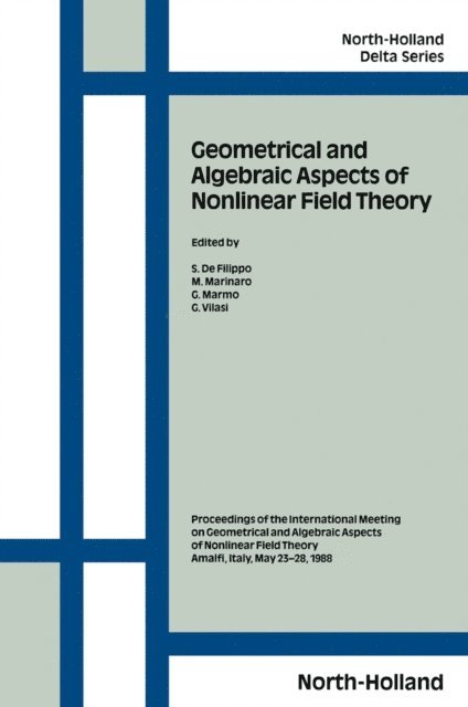 G. Vilasi, G. Marmo, M. Marinaro, S. de Filippo - Geometrical and Algebraic Aspects of Nonlinear Field Theory, E-bok