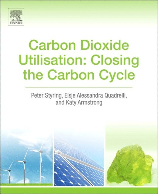 Katy Armstrong, Elsje Alessandra Quadrelli, Peter Styring - Carbon Dioxide Utilisation, E-bok