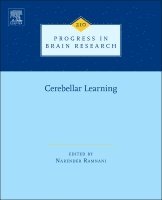 Cerebellar Learning