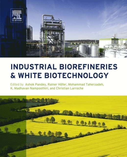 Christian Larroche, Madhavan Nampoothiri, Mohammad Taherzadeh, Rainer Hofer, Ashok Pandey - Industrial Biorefineries and White Biotechnology, E-bok