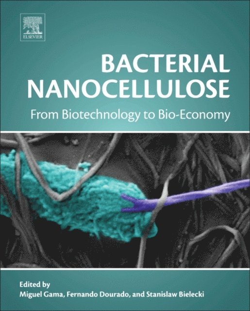 Stanislaw Bielecki, Fernando Dourado, Miguel Gama - Bacterial Nanocellulose, E-bok