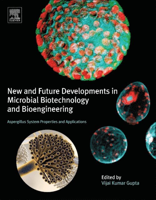 Vijai Kumar Gupta - New and Future Developments in Microbial Biotechnology and Bioengineering, E-bok