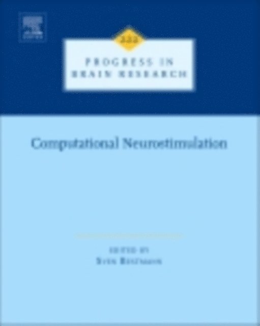 Computational Neurostimulation