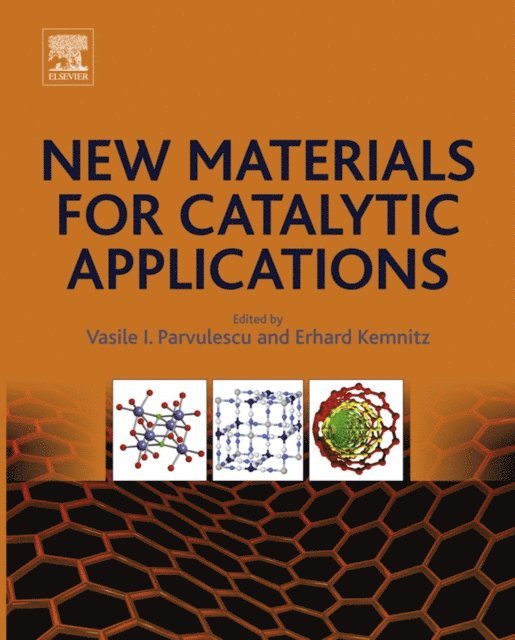 Erhard Kemnitz, Vasile I. Parvulescu - New Materials for Catalytic Applications, E-bok