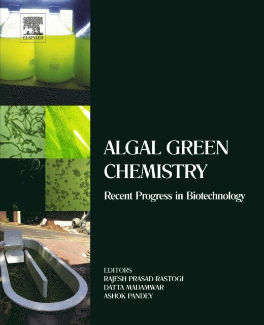 Ashok Pandey, Datta Madamwar, Rajesh Prasad Rastogi - Algal Green Chemistry, E-bok