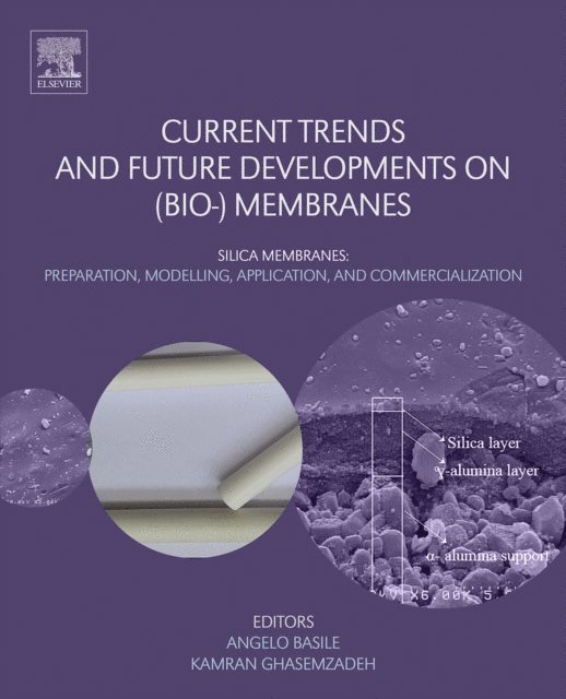 Kamran Ghasemzadeh, Angelo Basile - Current Trends and Future Developments on (Bio-) Membranes, E-bok