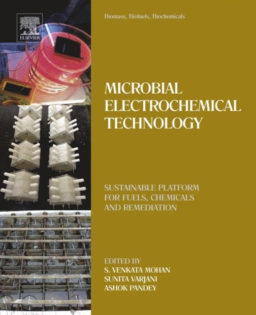 Sunita Varjani, Ashok Pandey, S.Venkata Mohan - Biomass, Biofuels, Biochemicals, E-bok