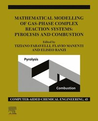 Mathematical Modelling of Gas-Phase Complex Reaction Systems: Pyrolysis and Combustion