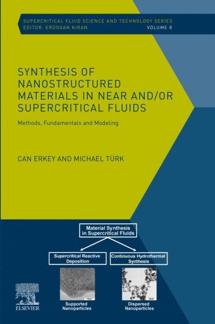 Michael Turk, Can Erkey - Synthesis of Nanostructured Materials in Near and/or Supercritical Fluids, E-bok