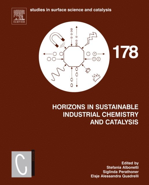 Elsje Alessandra Quadrelli, Siglinda Perathoner, Stefania Albonetti - Horizons in Sustainable Industrial Chemistry and Catalysis, E-bok