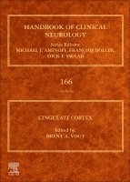 Cingulate Cortex