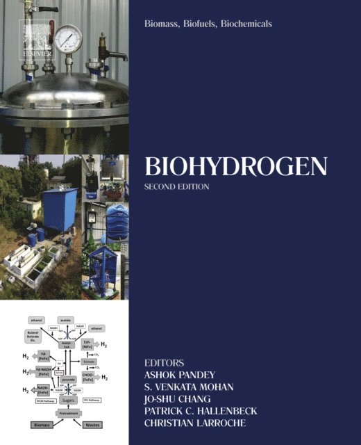 Christian Larroche, Patrick C. Hallenbeck, Jo-Shu Chang, S.Venkata Mohan, Ashok Pandey - Biomass, Biofuels, Biochemicals, E-bok