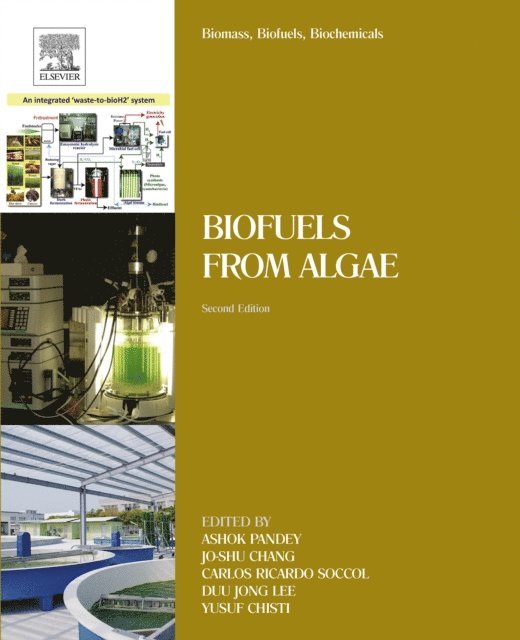 Carlos Ricardo Soccol, Yusuf Chisti, Jo-Shu Chang, Duu Jong Lee, Ashok Pandey - Biomass, Biofuels, Biochemicals, E-bok