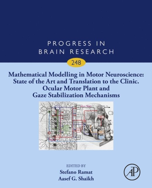 Mathematical Modelling in Motor Neuroscience: State of the Art and Translation to the Clinic. Ocular Motor Plant and Gaze Stabilization Mechanisms, E-bok