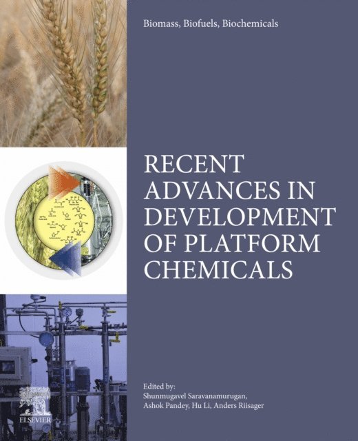 Ashok Pandey, Anders Riisager, Hu Li, S. Saravanamurugan - Biomass, Biofuels, Biochemicals, E-bok