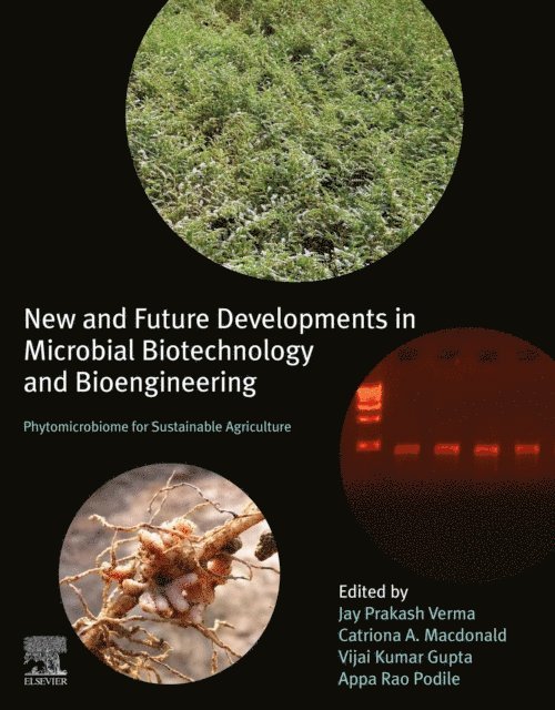Appa Rao Podile, Vijai Kumar Gupta, Catriona Macdonald, Jay Prakash Verma - New and Future Developments in Microbial Biotechnology and Bioengineering, E-bok