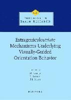 Extrageniculostriate Mechanisms Underlying Visually-Guided Orientation Behavior