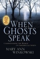 Mary Ann Winkowski - When Ghosts Speak: Understanding the World of Earthbound Spirits, Inbunden