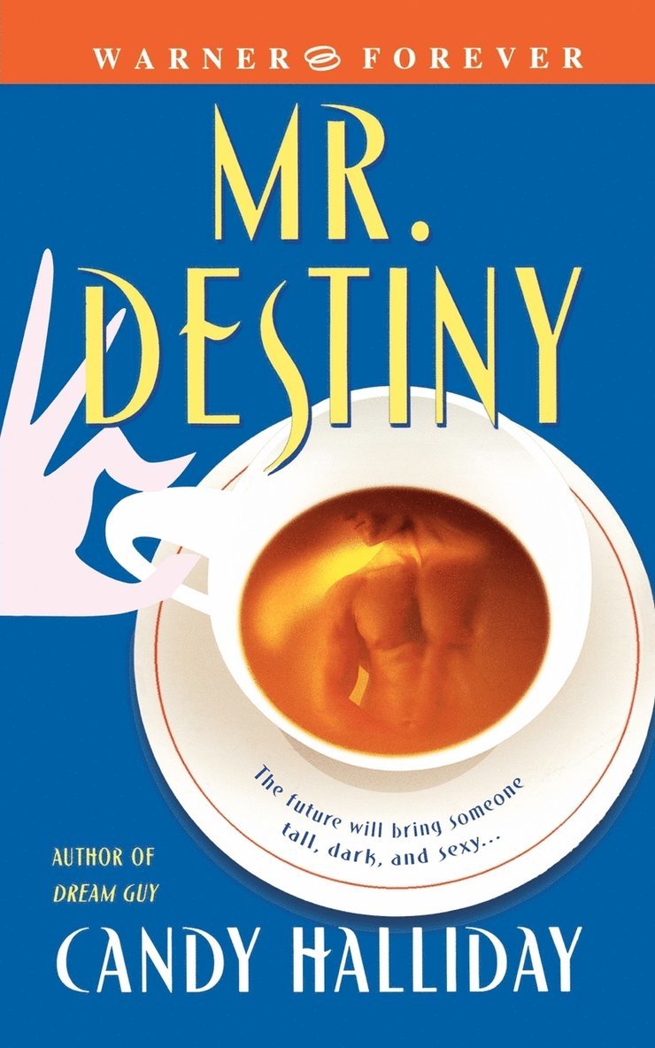 Candy Halliday - Mr Destiny, Häftad