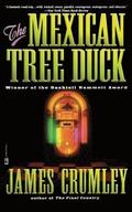The Mexican Tree Duck