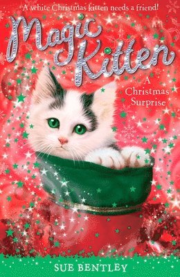 Sue Bentley - A Christmas Surprise, Häftad